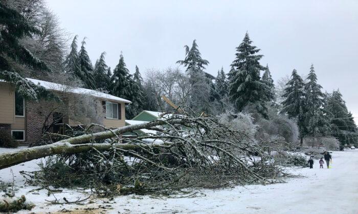 Hundreds of Thousands Without Power in Northwest Ice Storm