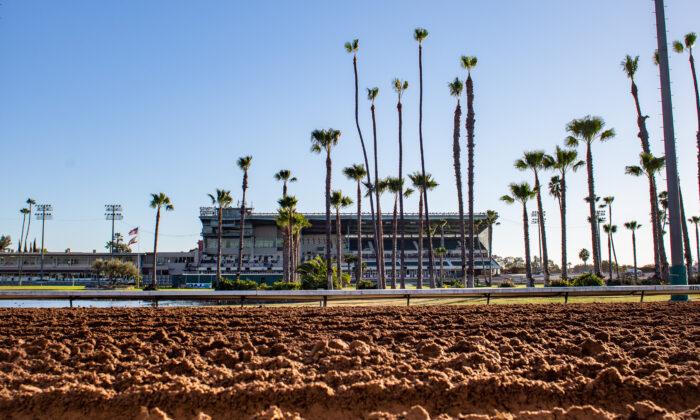 Racehorse Died From Back Injury Suffered at Los Alamitos