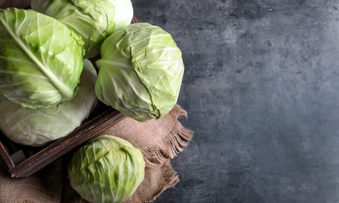 Turn Cabbage Into a Comforting Dish With Ease