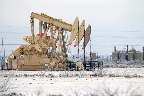 A pump jack array seen in Midland, Texas, on Feb. 13, 2021. (Eli Hartman/Odessa American via AP)