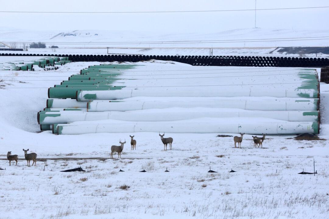 Canada’s Alberta Province Files Trade Challenge Over Scrapped Keystone XL Pipeline