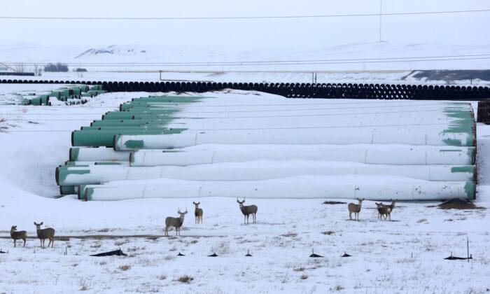 Canada’s Alberta Province Files Trade Challenge Over Scrapped Keystone XL Pipeline