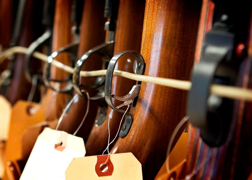 Advocates of Gun Rights and Gun Control React to New Firearms Bill