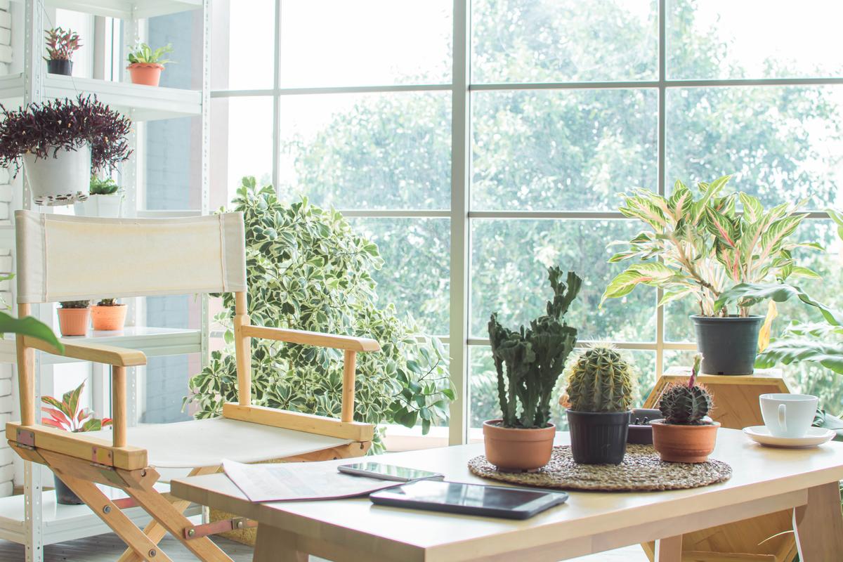 Ways to Bring Nature Indoors