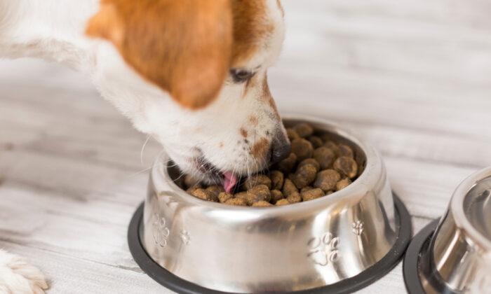 Aflatoxins in Pet Foods Sicken and Kill Dogs