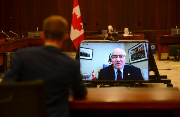 Committee Chair and Liberal MP Wayne Easter speaks via videoconference during a House of Commons finance committee meeting in Ottawa on July 30, 2020. (Sean Kilpatrick/The Canadian Press)