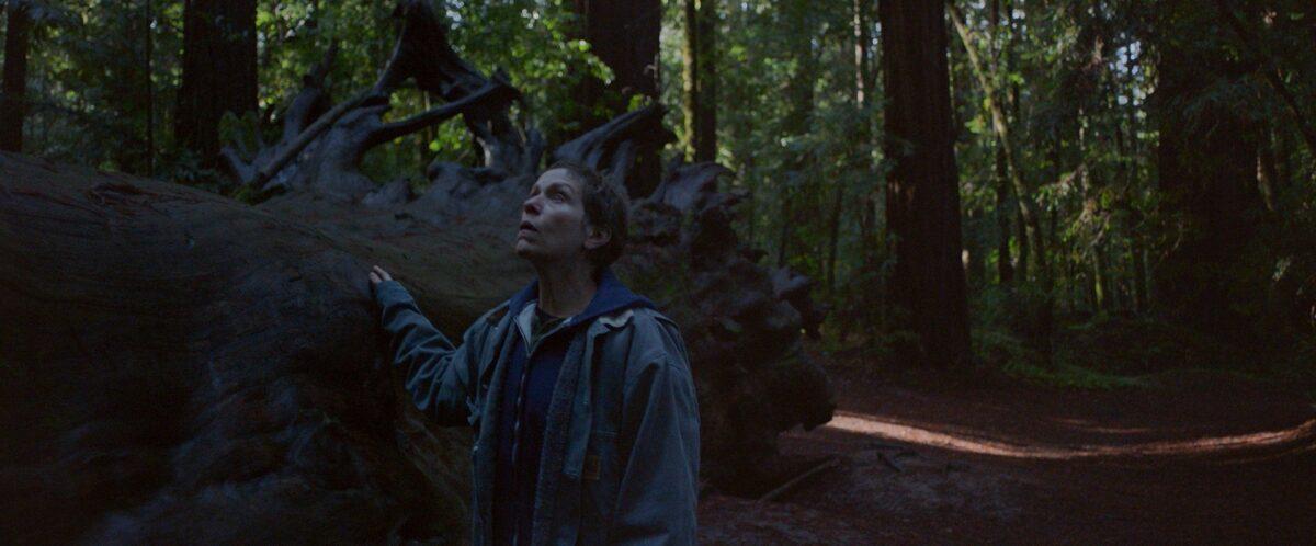 Fern (Frances McDormand) doing some sightseeing, in “Nomadland.” (Searchlight Pictures/Walt Disney Studios Motion Pictures)