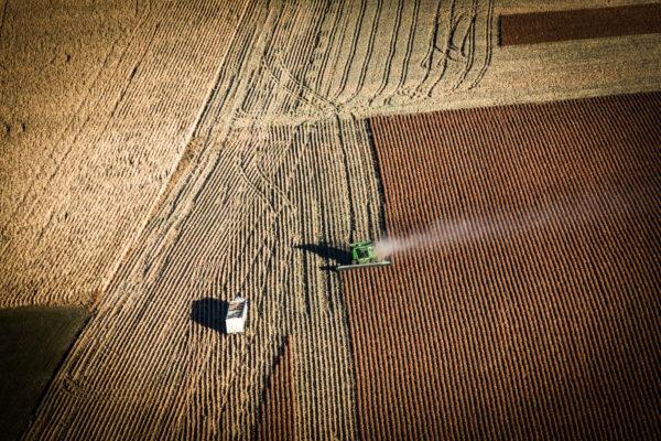 A farmer harvests crops near Presho, S.D., on Oct. 13, 2014. (Andrew Burton/Getty Images)
