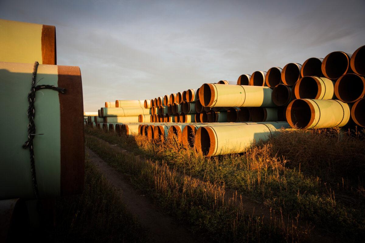 Miles of unused pipe, prepared for the proposed Keystone XL pipeline, sit outside Gascoyne, North Dakota, on Oct. 14, 2014. (Andrew Burton/Getty Images)