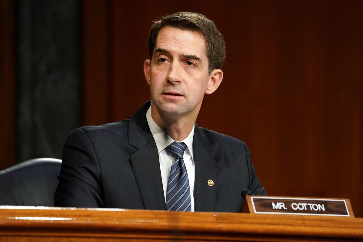 Sen. Tom Cotton (R-Ark.) questions President-elect Joe Biden's nominee for Secretary of Defense, retired Army Gen. Lloyd Austin at his confirmation hearing before the Senate Armed Services Committee at the U.S. Capitol in Washington, on Jan. 19, 2021. (Greg Nash-Pool/Getty Images)