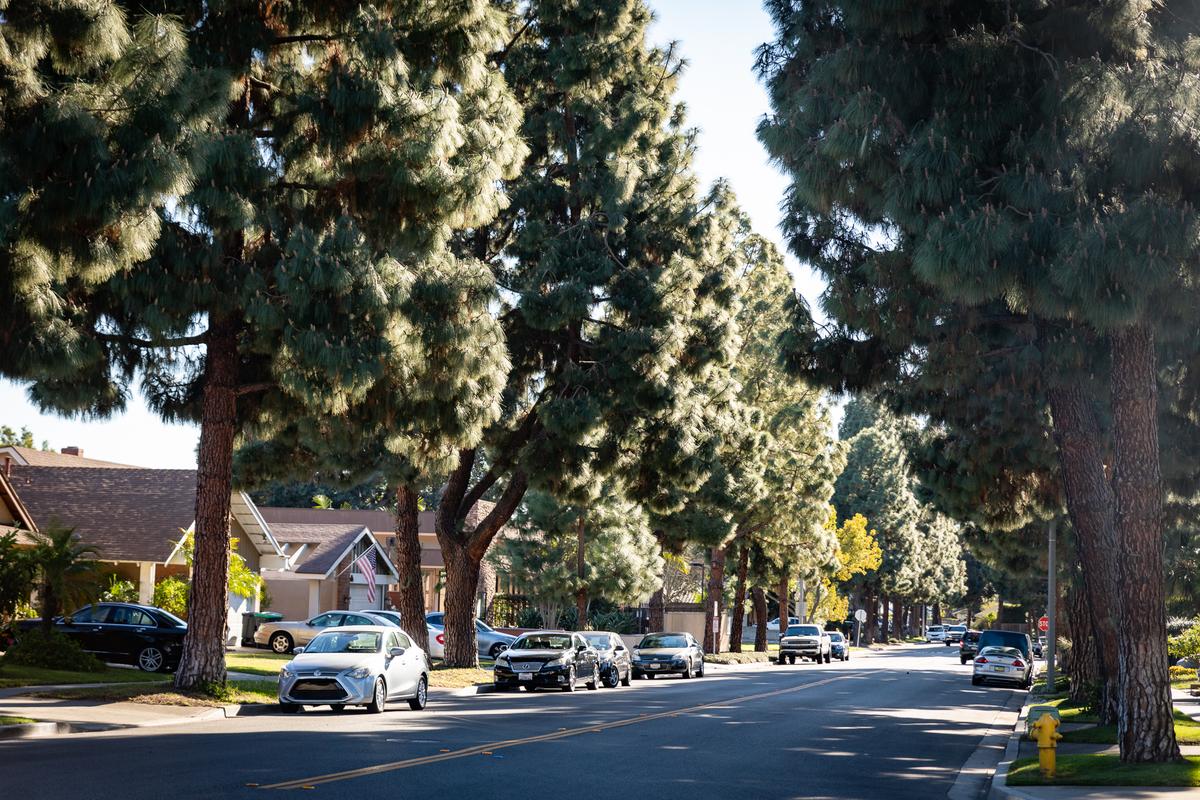 California City Cracking Down on Catalytic Converter Thefts