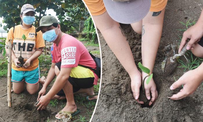 A Philippine City’s ‘Green Program’ Requires Marriage License Applicants to Plant Trees