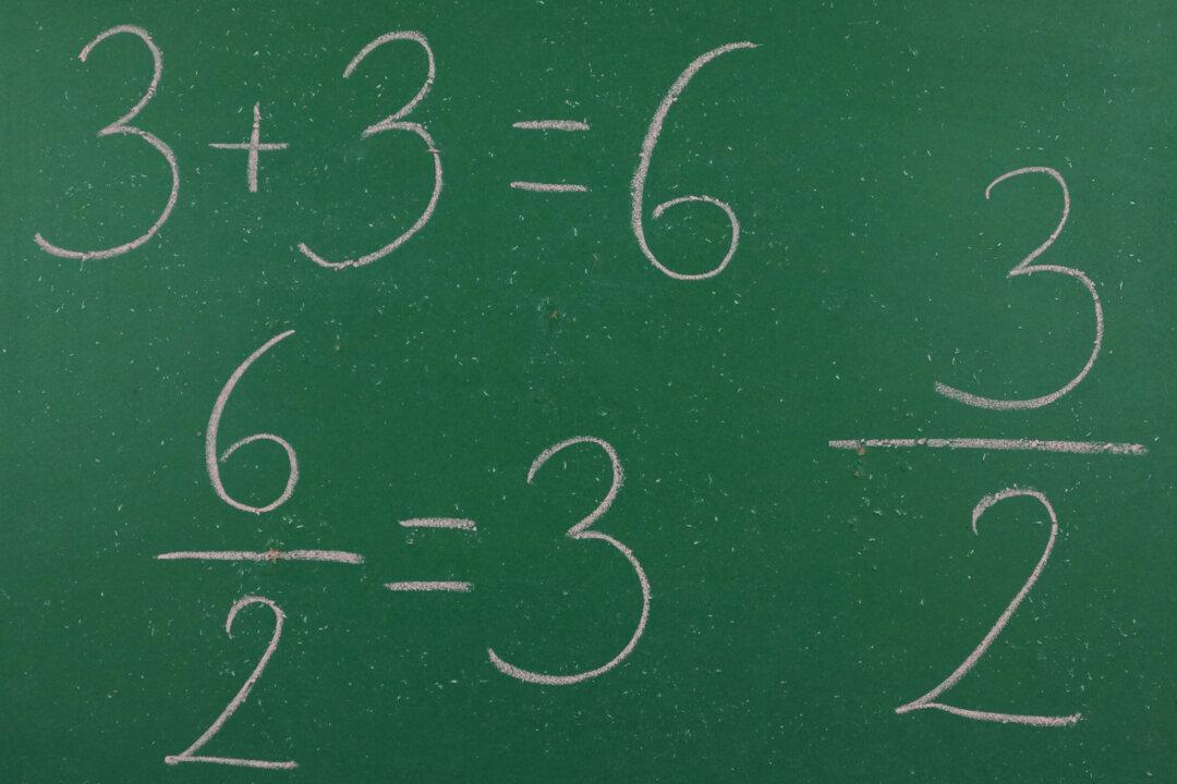 Woke Math Doesn’t Add Up