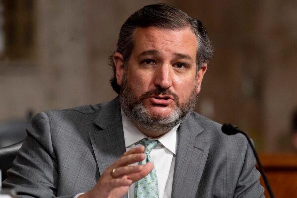 Sen. Ted Cruz (R-Texas) speaks at a Senate hearing on Capitol Hill, Washington on Feb. 23, 2021. (Andrew Harnik/AP Photo)