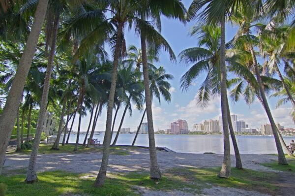The view from the Palm Beach Lake Trail. (Courtesy of Discover the Palm Beaches)