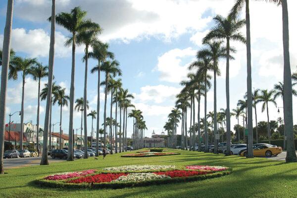 Royal Poinciana Way is the gateway to the island of Palm Beach. (Courtesy of Discover the Palm Beaches)