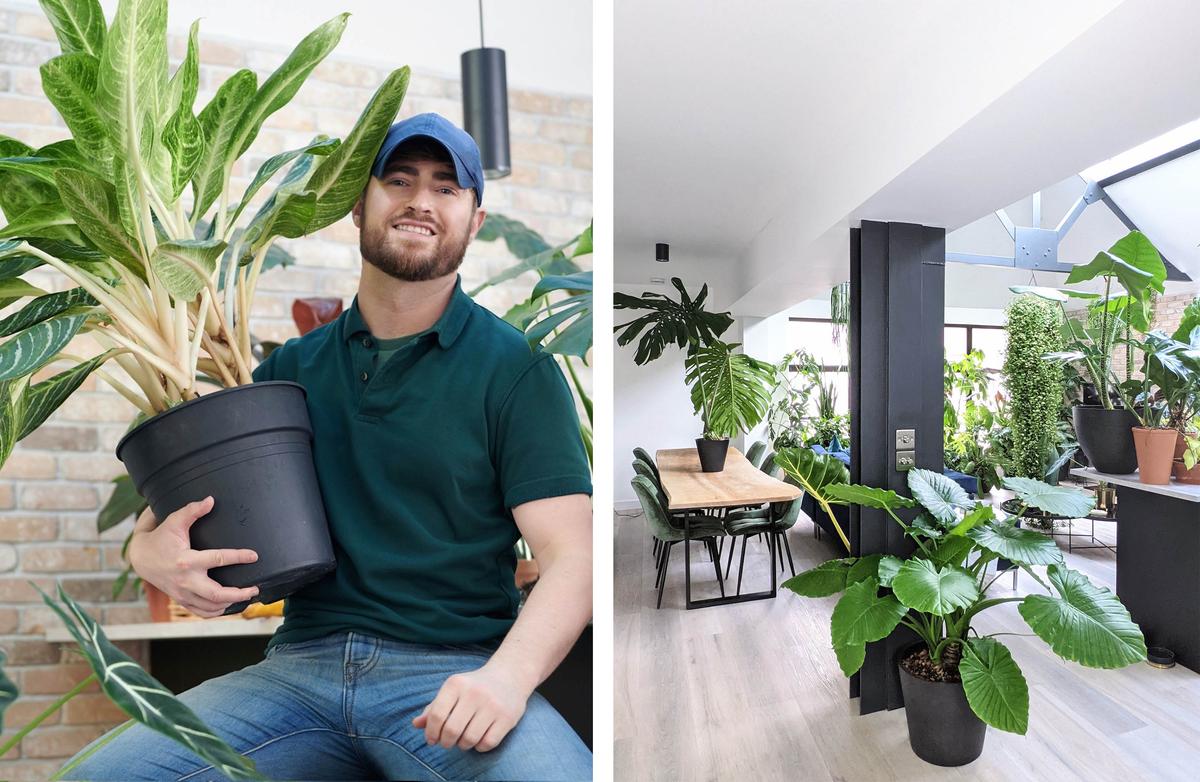 (Left) Tony Le-Britton with his aglaonema key lime potted plant; (Right) A view inside Tony's home. (Courtesy of <a href="https://www.instagram.com/notanotherjungle/">Tony Le-Britton</a>)