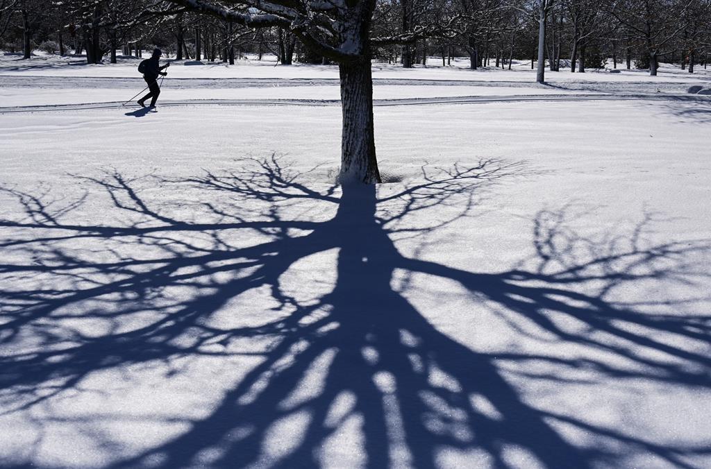 Mild Spring With Some Wintry Blasts Predicted for Most of Canada: Weather Network