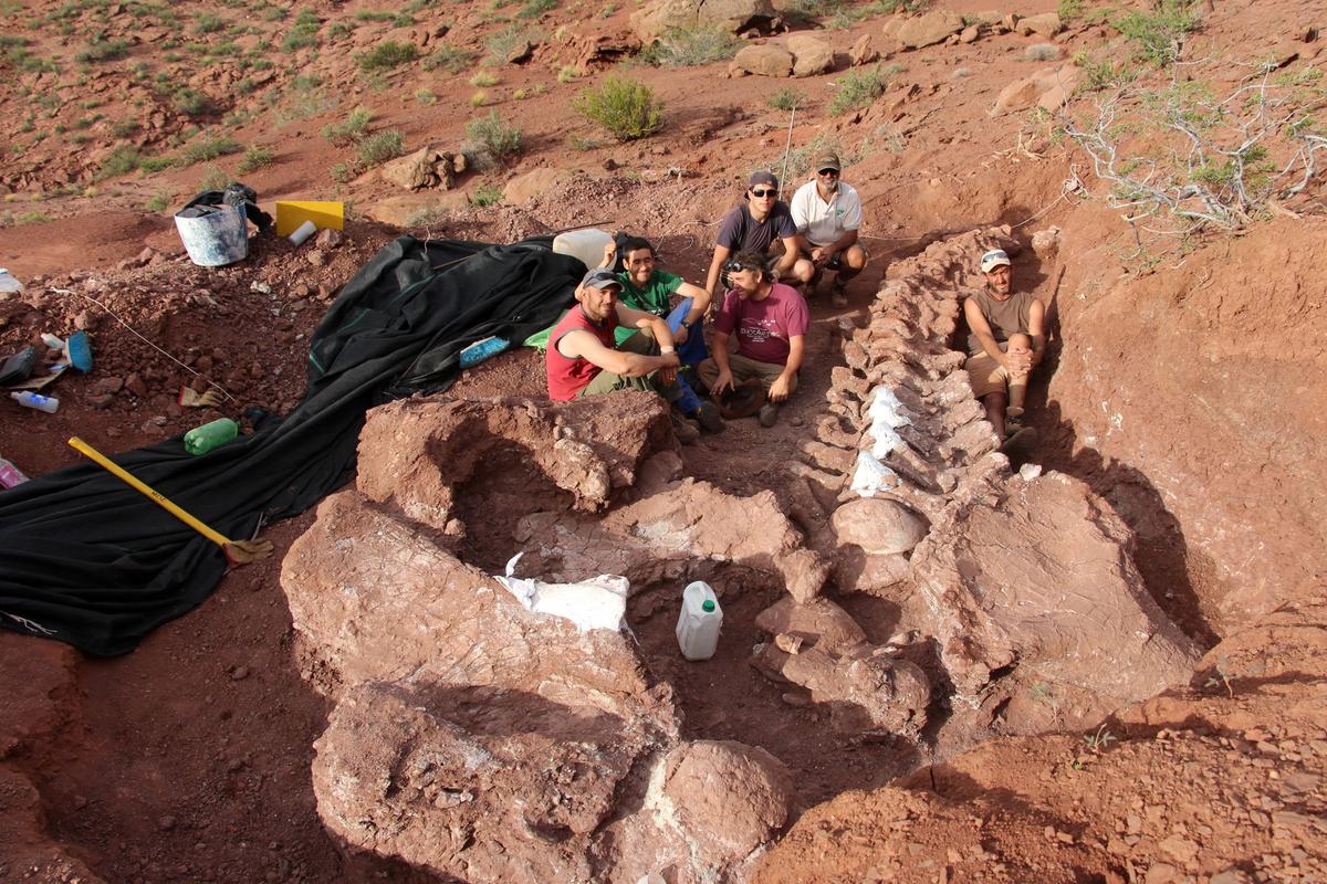 Fossils of Oldest Member of Huge Dinosaur Group Found in Argentina