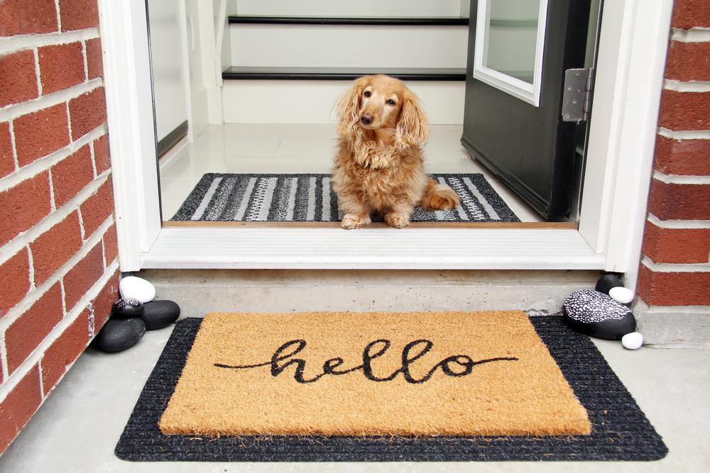 Styling your front door and entryway to be more inviting can transform the vibe of your home. (Hannamariah/Shutterstock)
