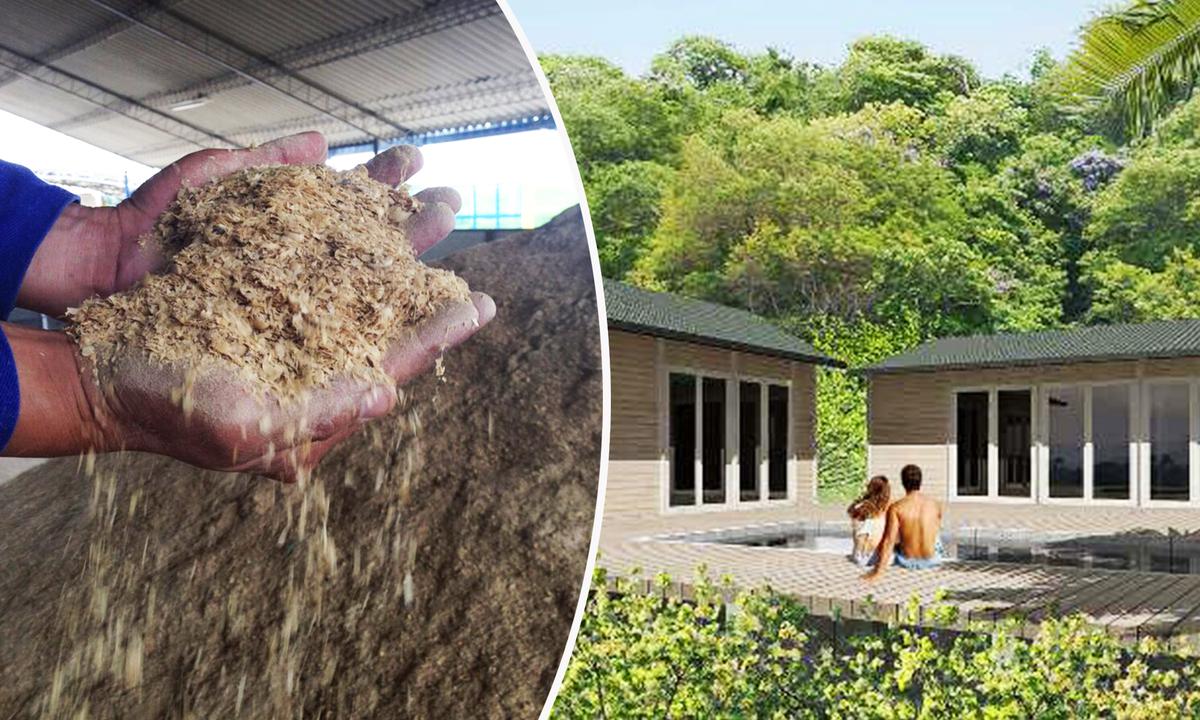 Colombian Builder Creates Homes Literally Made of Coffee, Saves the Day After Hurricane Iota