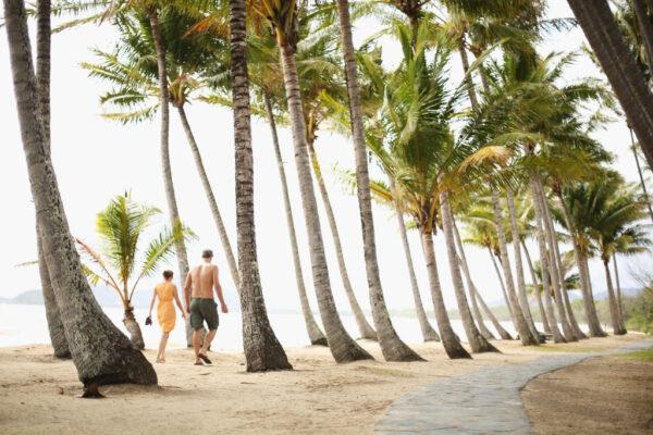 A couple walk through the palm trees on the beach on November 13, 2012, in Palm Cove, Australia. (Mark Kolbe/Getty Images)