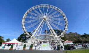 San Francisco Ferris Wheel Will Stay for 4 More Years
