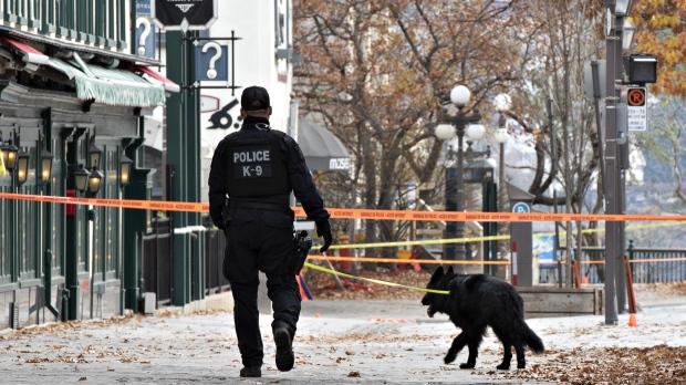 Quebec City Halloween Night Stabbing Suspect Returns to Court April 30