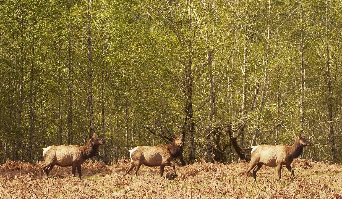 Mother Nature’s Hidden Gems