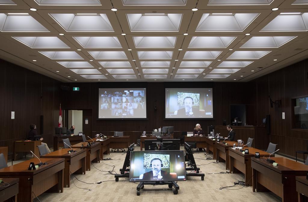 Husband of Liberal MP Must Repay Improperly Claimed Pandemic Relief Cheques