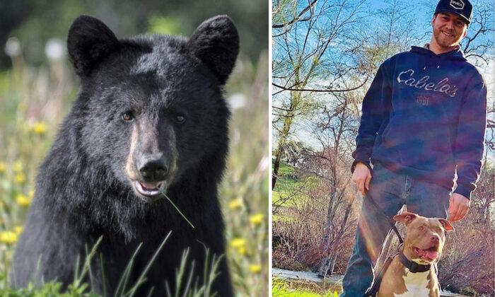 ‘I Would Die for My Dog’: Man Fights Off 350-Pound Bear Empty-Handed to Save His Best Friend