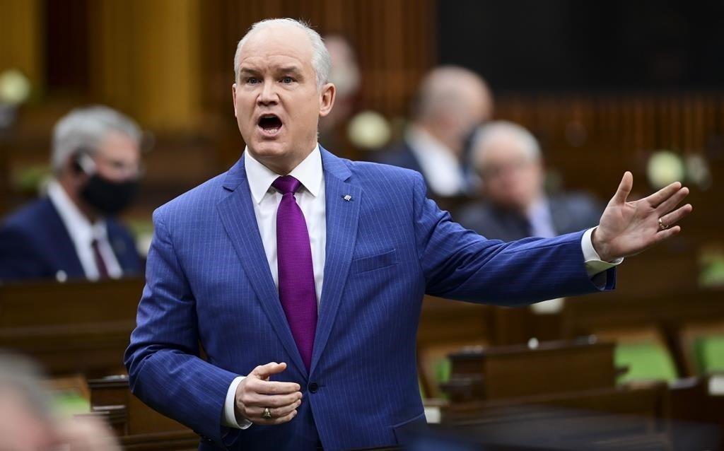 Erin O'Toole Says a Conservative Government Wouldn’t Cut Foreign Aid