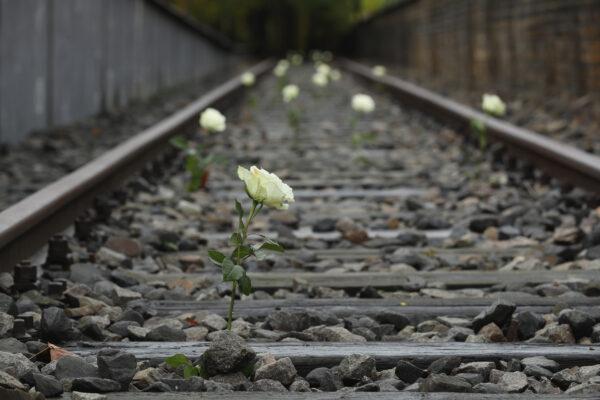 White roses left by visitors stand among train tracks at the Track 19 memorial prior to a ceremony to commemorate the anniversary of the deportation of Berlin's Jews to concentration camps in Berlin, Germany, on Oct. 19, 2016. (Sean Gallup/Getty Images)