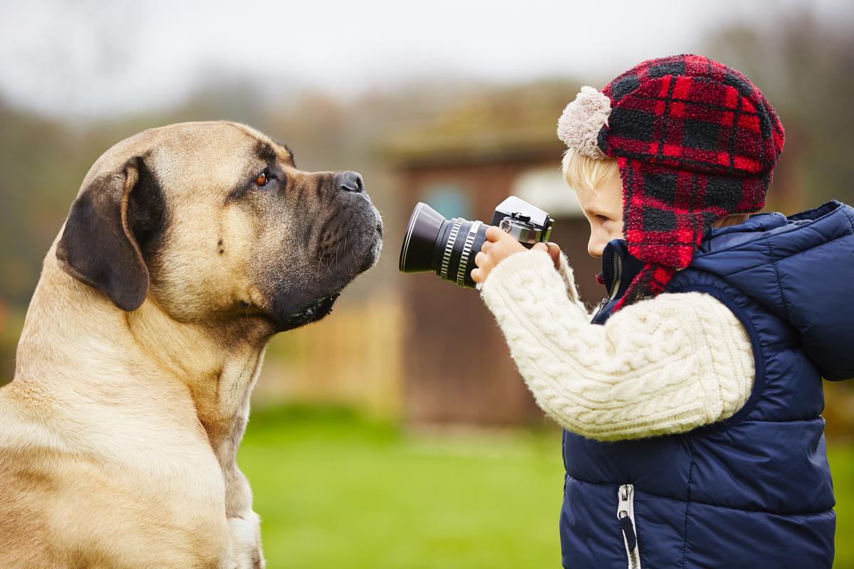 The Joys of a Family Pet