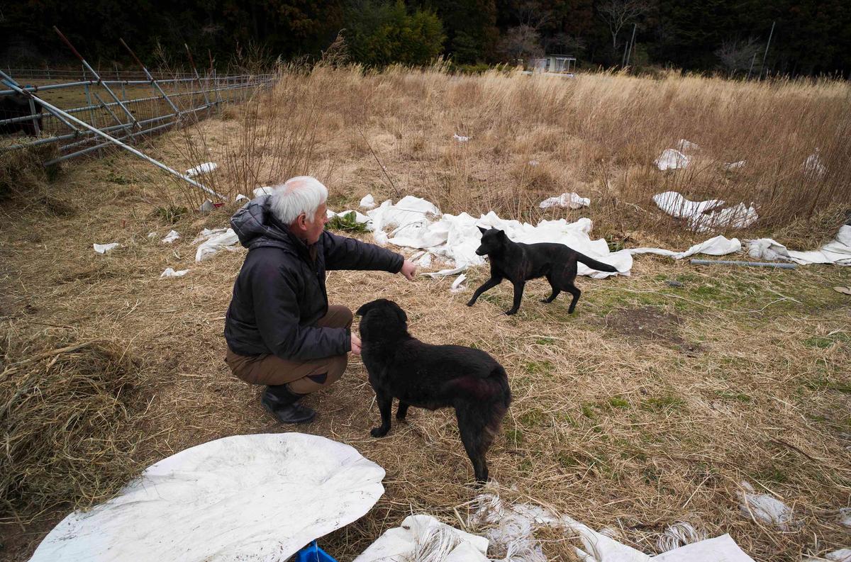 Naoto Matsumura pets his dogs during an interview with The Associated Press at his farm land in Tomioka town, Fukushima prefecture, northeastern Japan, Friday, Feb. 26, 2021. (Hiro Komae/AP)
