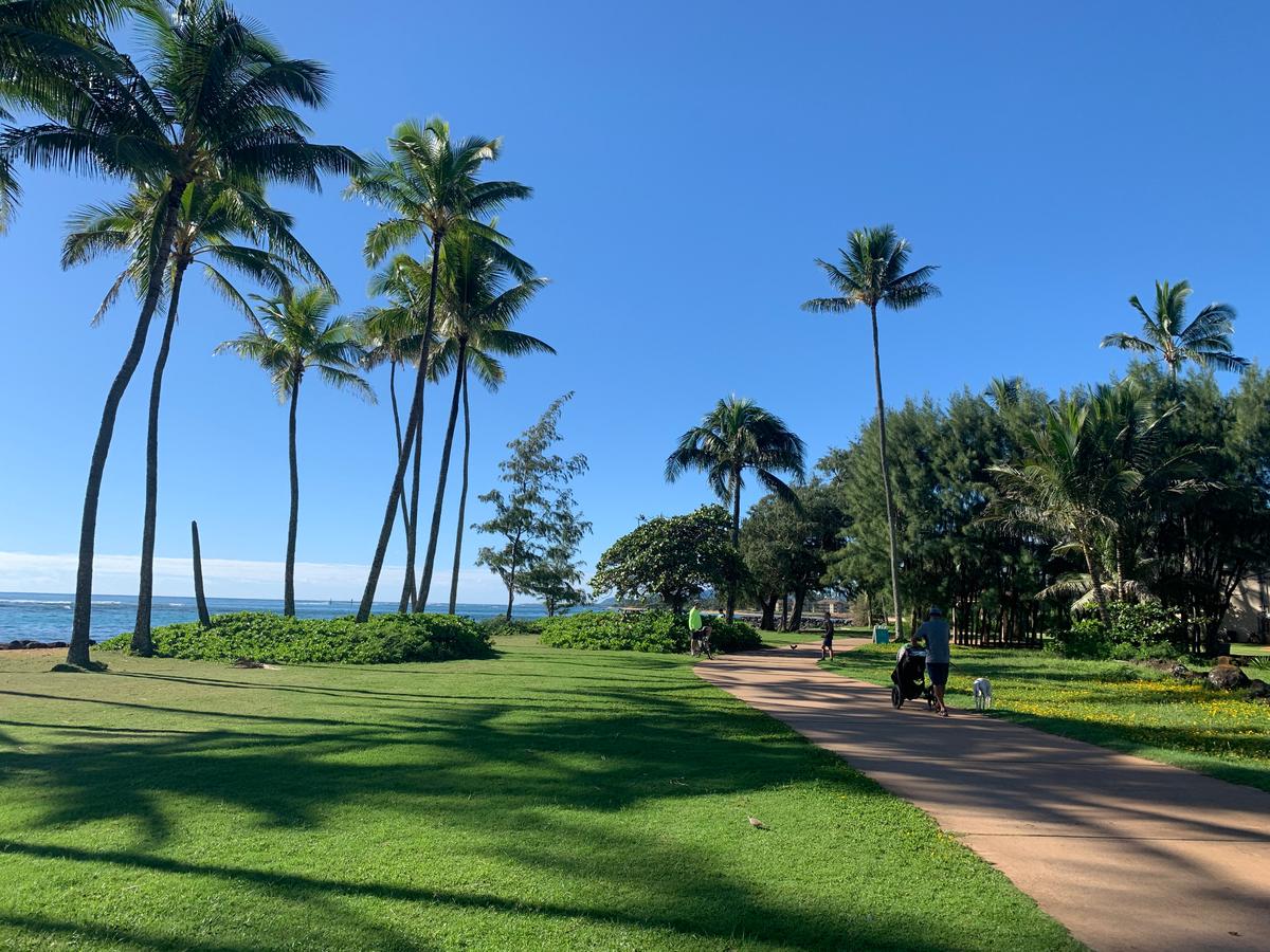 The view along the Kauai Coastal Trail. (Janna Graber)