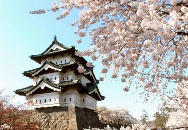 Every spring, hundreds of people flock to the magnificent Hirosaki Castle in Japan to take part in the cherry blossom festival. (Koichi Kamoshida/Getty Images)