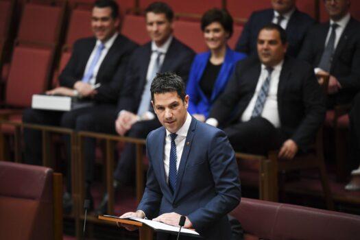 Liberal Senator for South Australia Alex Antic delivering his maiden speech in the Senate chamber at Parliament House in Canberra, Tuesday, September 17, 2019. (AAP Image/Lukas Coch)