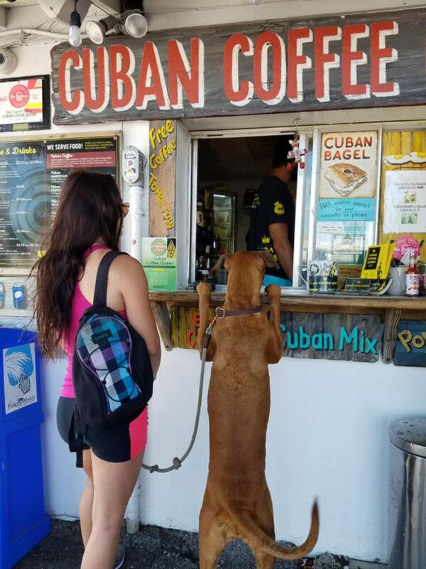 Lining up for cafe con leche at Cuban Coffee Queen. (Courtesy of Cuban Coffee Queen)