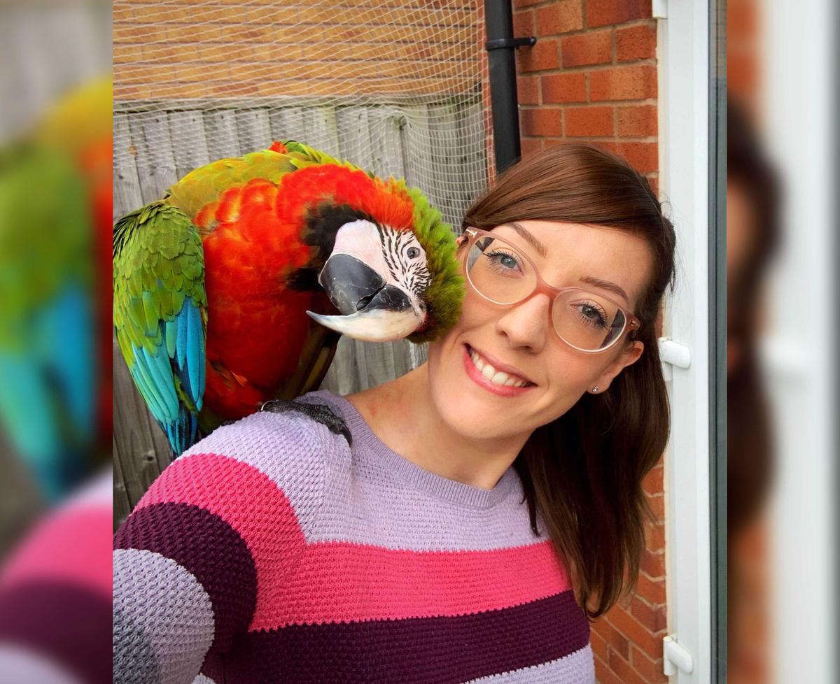 Chloe Brown and Motley the 1-year-old harlequin macaw (Caters News)