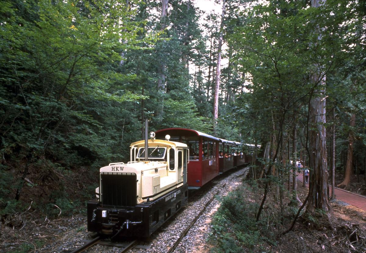 A train travels through a forest in Nagano Prefecture. (Nagano Prefecture/JNTO)