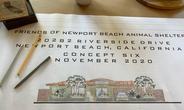 Friends of Newport Beach Animal Shelter Moves Closer to a Forever Home