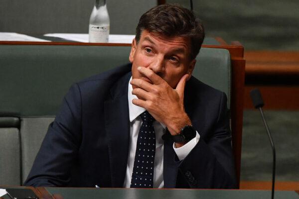 Minister for Energy Angus Taylor reacts during Question Time in the House of Representatives at Parliament House on February 02, 2021, in Canberra, Australia. (Sam Mooy/Getty Images)