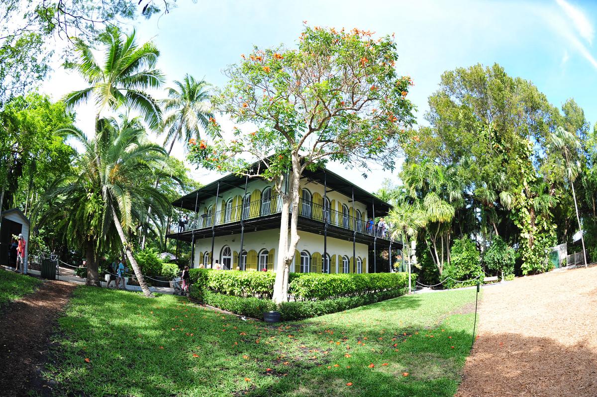 The Ernest Hemingway Home and Museum is a major tourist attraction, showcasing the famous author's former residence and the six-toed cats that inhabit the property. (KAREN BLEIER/AFP via Getty Images)