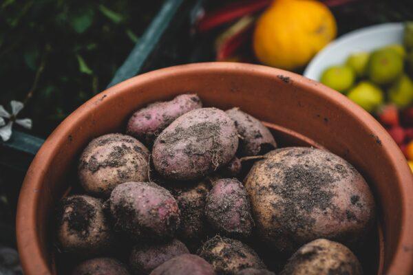 Fresh potatoes year-round. (Jonathan Kemper, Unsplash)