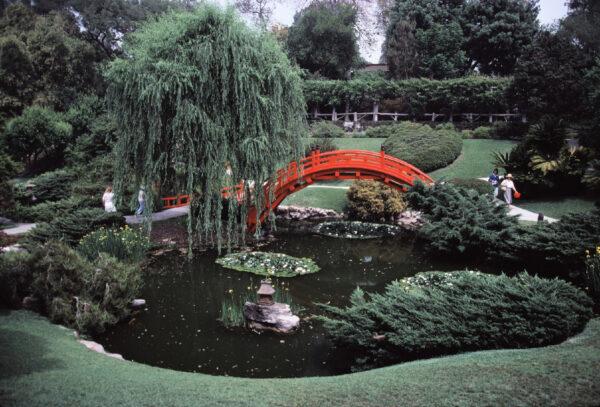 The Japanese garden is just one of many at the Huntington Library, Art Museum, and Botanical Gardens in San Marino, Calif. (Courtesy of Glenn Hartz/Dreamstime.com)