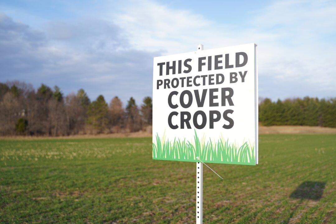 Farmers Need an ROI for Precision-Ag Adoption to Grow