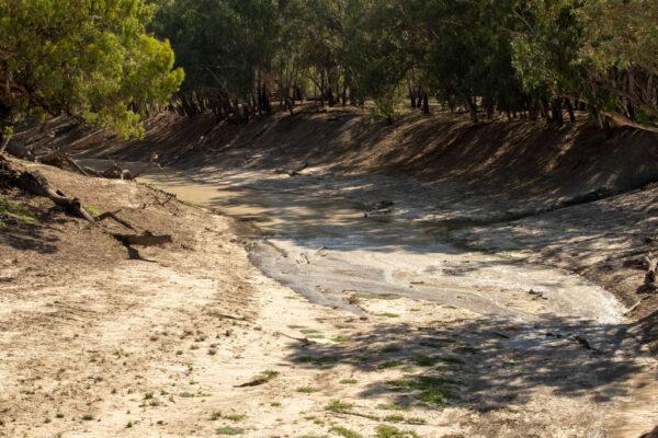 A dry section of the Barwon river is seen as the beginnings of a flow arrives on Feb. 17, 2020, in Brewarrina, Australia. (Jenny Evans/Getty Images)