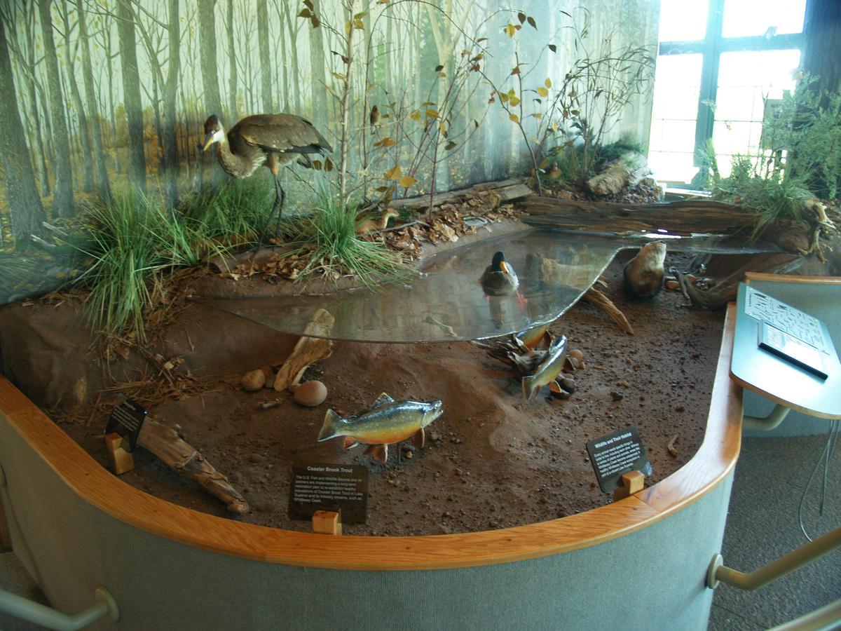 Exhibits inside the Northern Great Lakes Visitor Center reveal the rich ecosystem of the region. (Kevin Revolinski)
