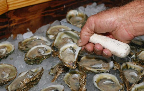 Oysters are displayed in Apalachicola, Florida, on Aug. 13, 2013. (AP Photo/Phil Sears, File)
